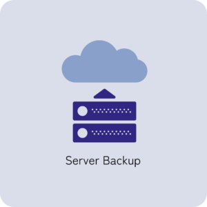 Server Backup